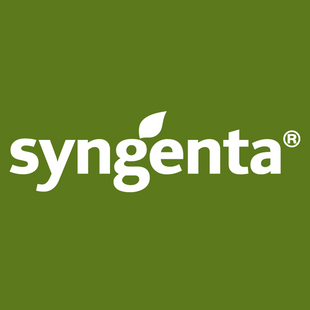 Фото 1 - Аэроспейс F1 капуста цветная Syngenta 2500 семян
