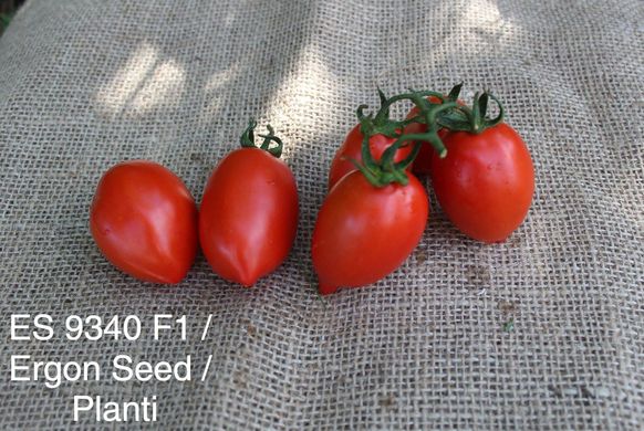 Фото 1 - ES 9340 F1 томат детерминантный Ergon Seed 500 семян