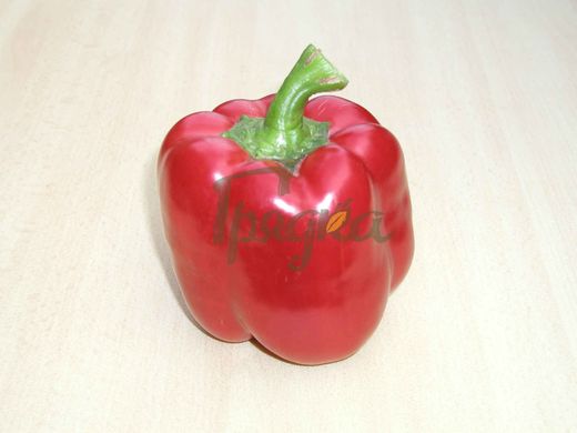 Фото 2 - Красный рыцарь F1 перец сладкий Seminis 10 семян