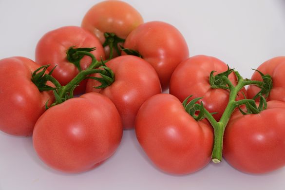 Фото 3 - Пінк Делайт F1 томат индетерминантный Ergon Seed 100 насінин