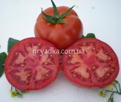 Фото 1 - Мейс F1 томат детермінантний Yuksel Tohum 1000 насінин