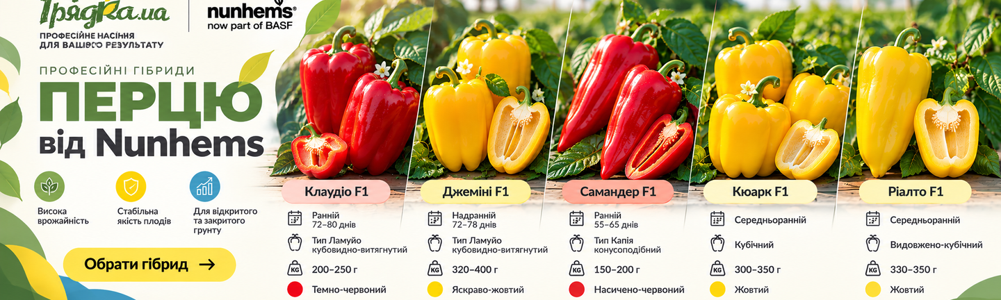Насіння солодкого перцю Nunhems