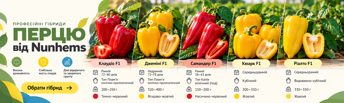 Семена сладкого перца Nunhems