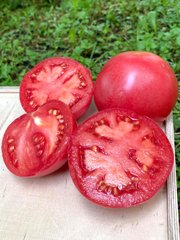 Фото 1 - Дейзі (PL 6210) F1 томат индетерминантный Asia Seed 100 насінин