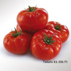 Фото 1 - КС 206 (KS 206) F1 томат індетермінантний Kitano Seeds 100 насінин