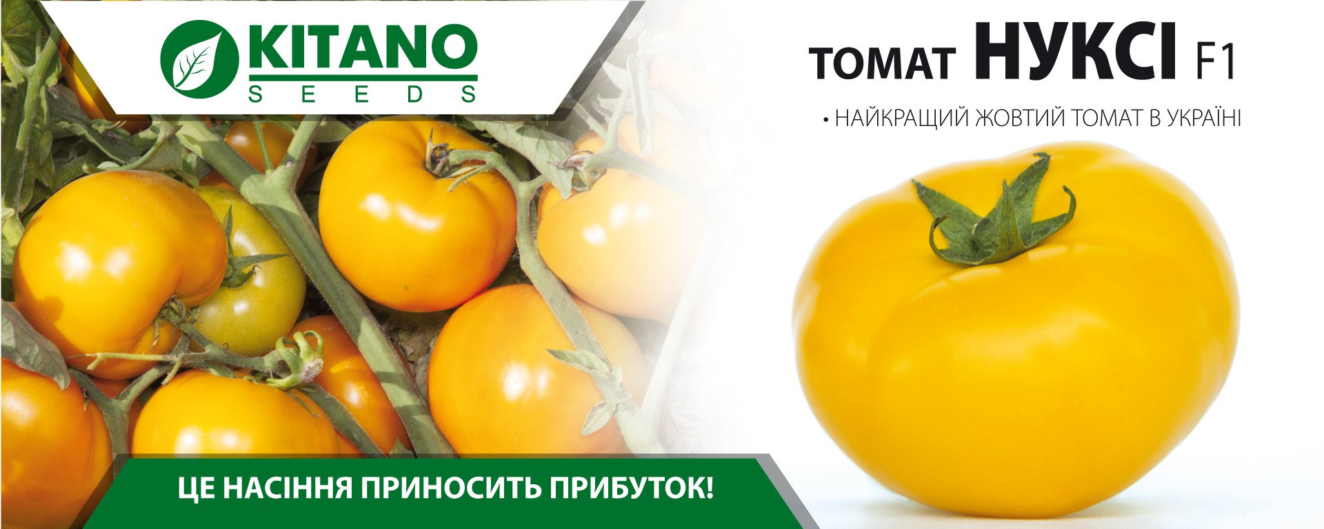 nuksi-f1-semena-tomat-kitano-seeds